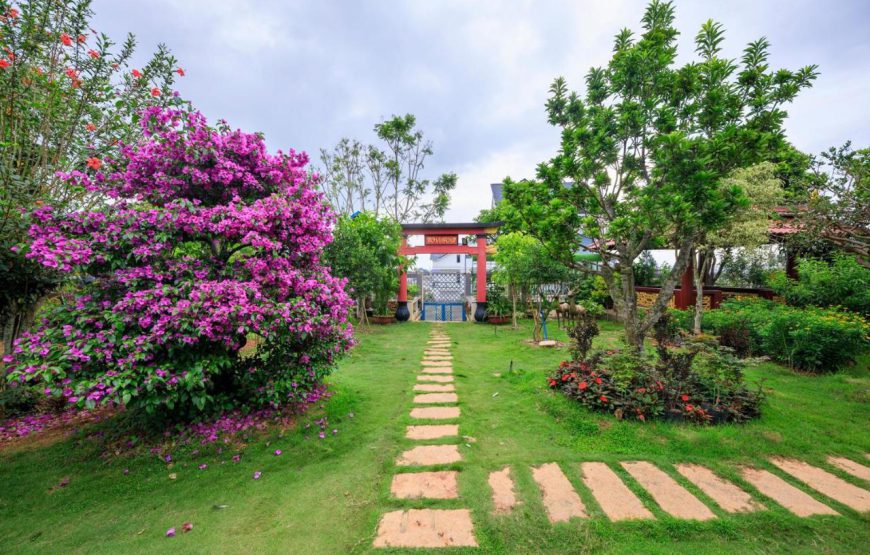 Bonjour Hotel Dalat
