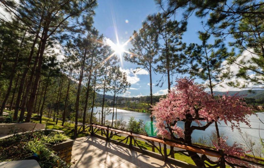 Cereja Hotel & Resort