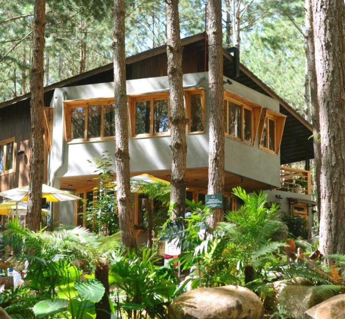Mơ Stay – Forest Resort