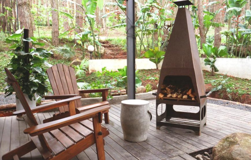 Mơ Stay – Forest Resort