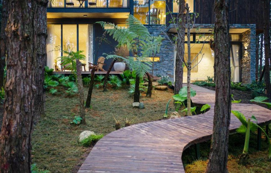 Mơ Stay – Forest Resort