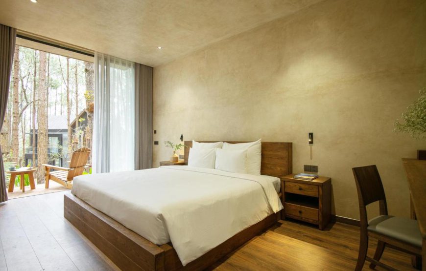 Mơ Stay – Forest Resort