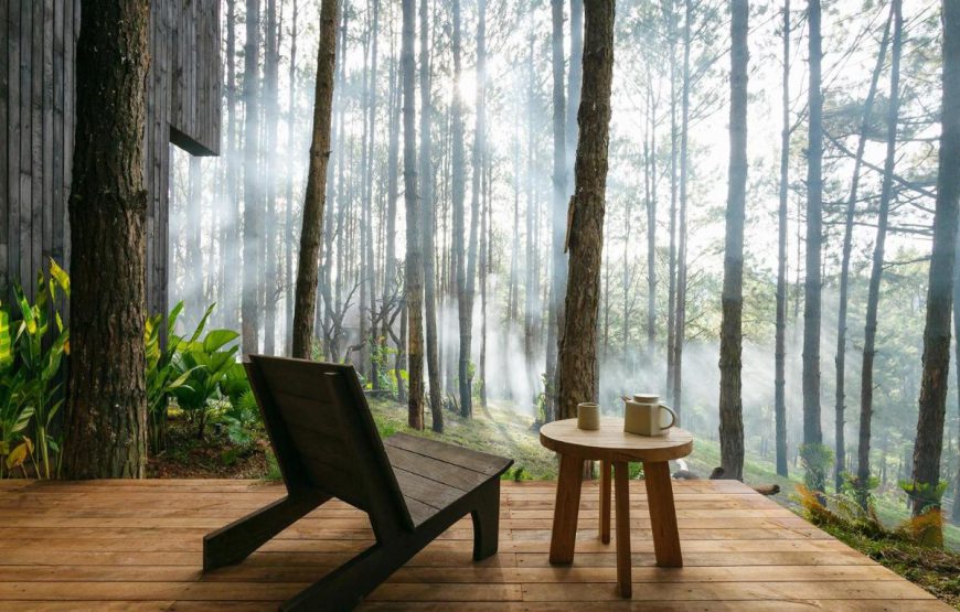 Mơ Stay – Forest Resort