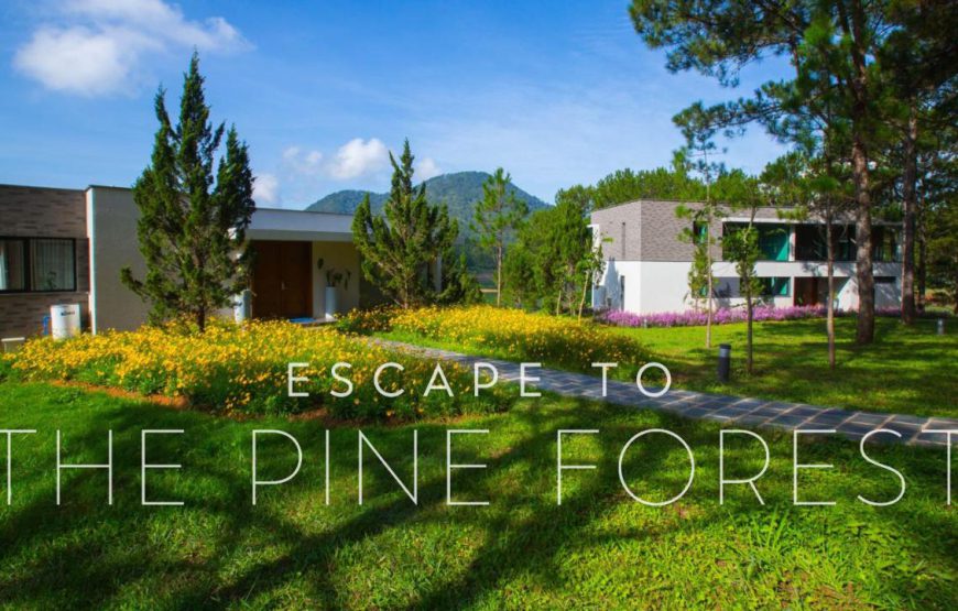 Terracotta Hotel & Resort Dalat