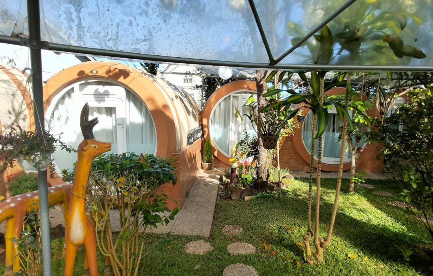 Wine Town Homestay