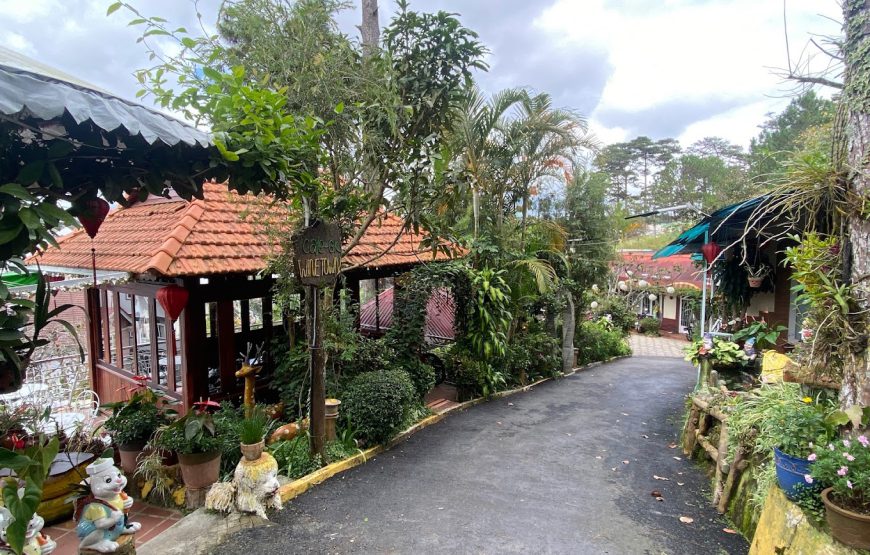 Wine Town Homestay