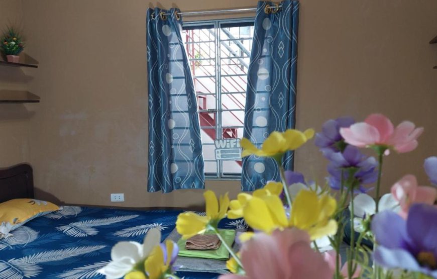 Alley Homestay