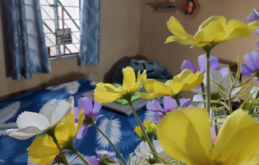 Alley Homestay