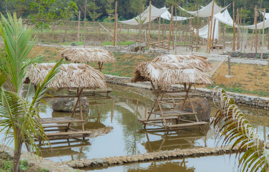 Khu Sinh Thái Ba Vì Eco Camping