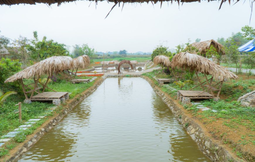 Khu Sinh Thái Ba Vì Eco Camping