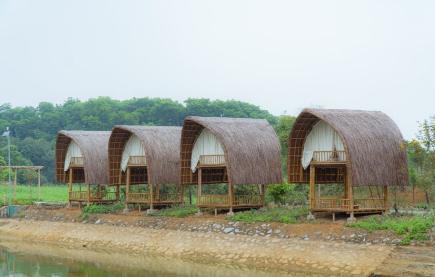Khu Sinh Thái Ba Vì Eco Camping
