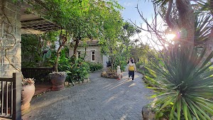 Blooms Boutique Village