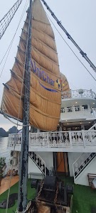 UniCharm Cruise