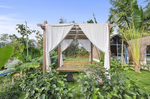 Hoya House