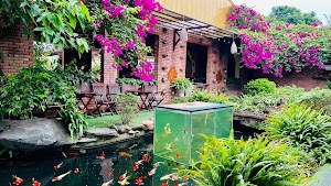 Camellia Homestay