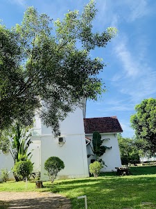 Sen Vàng Resort