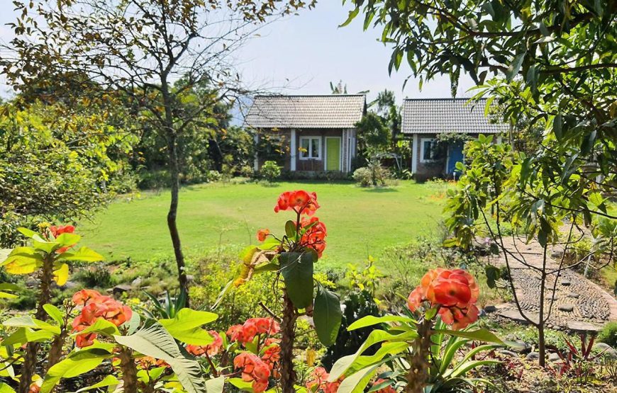 Fefe Garden