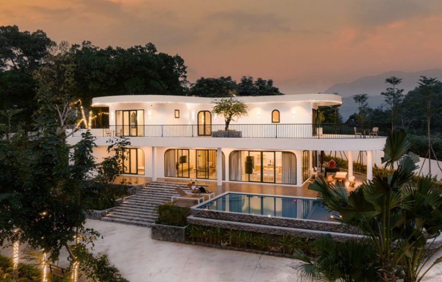Gạc Nai Home