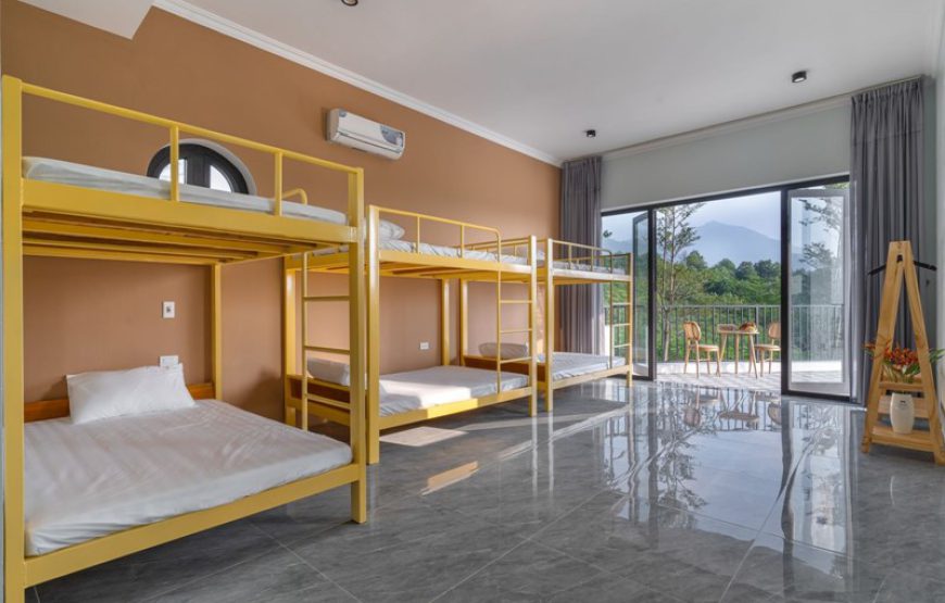 Gạc Nai Home