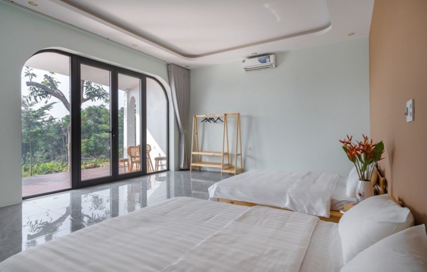 Gạc Nai Home