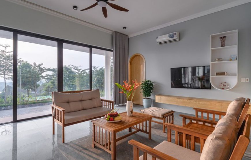 Gạc Nai Home