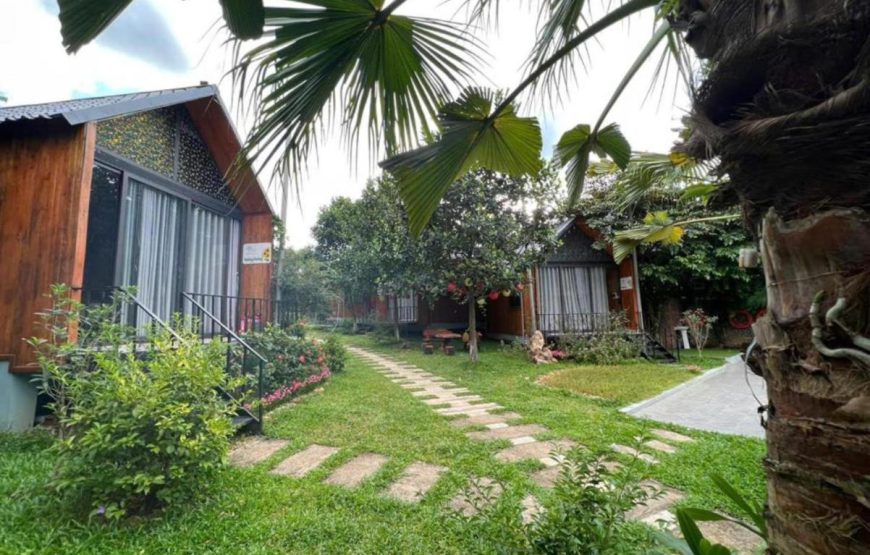 ST Homestay Tản Lĩnh