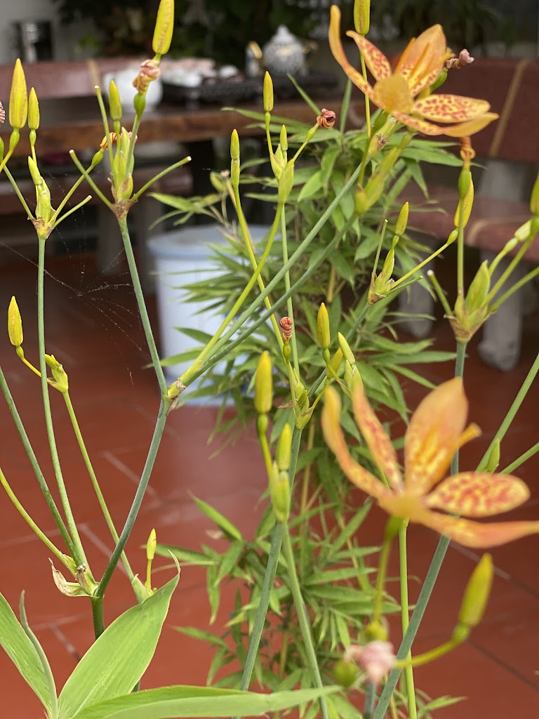 Homestay Thành Công