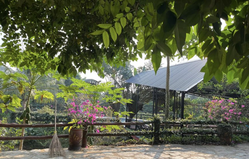 LUKI HOMESTAY BAVI