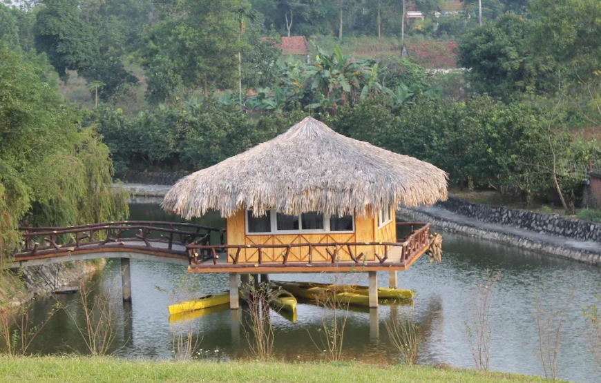 Lai Farm Vân Hòa