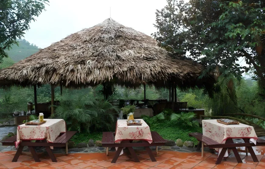 Lai Farm Vân Hòa
