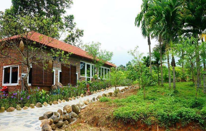 Lai Farm Vân Hòa