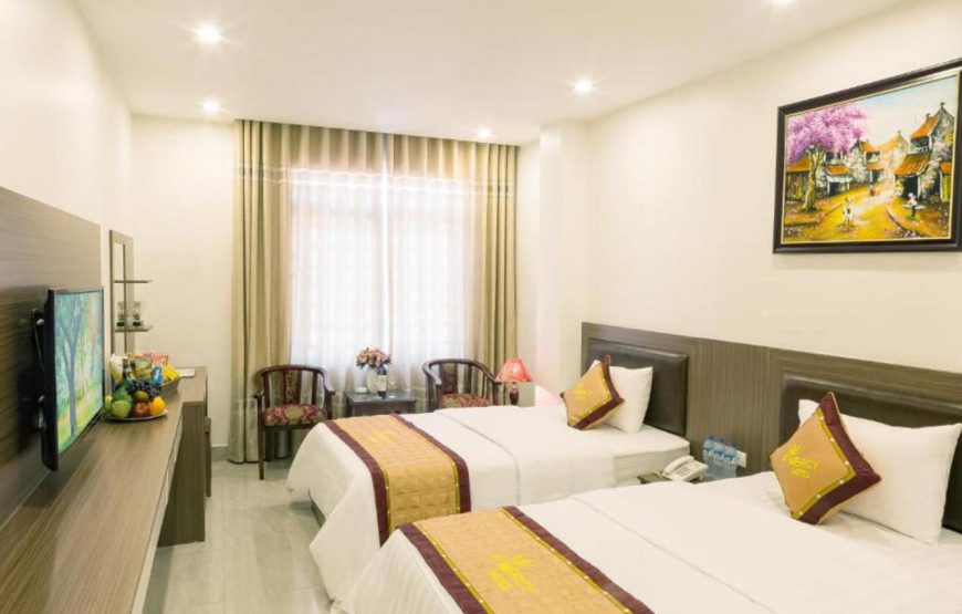 Mercy Hotel – 310 Lạc Trung