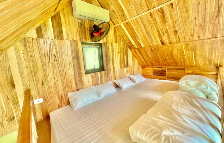 T House Homestay