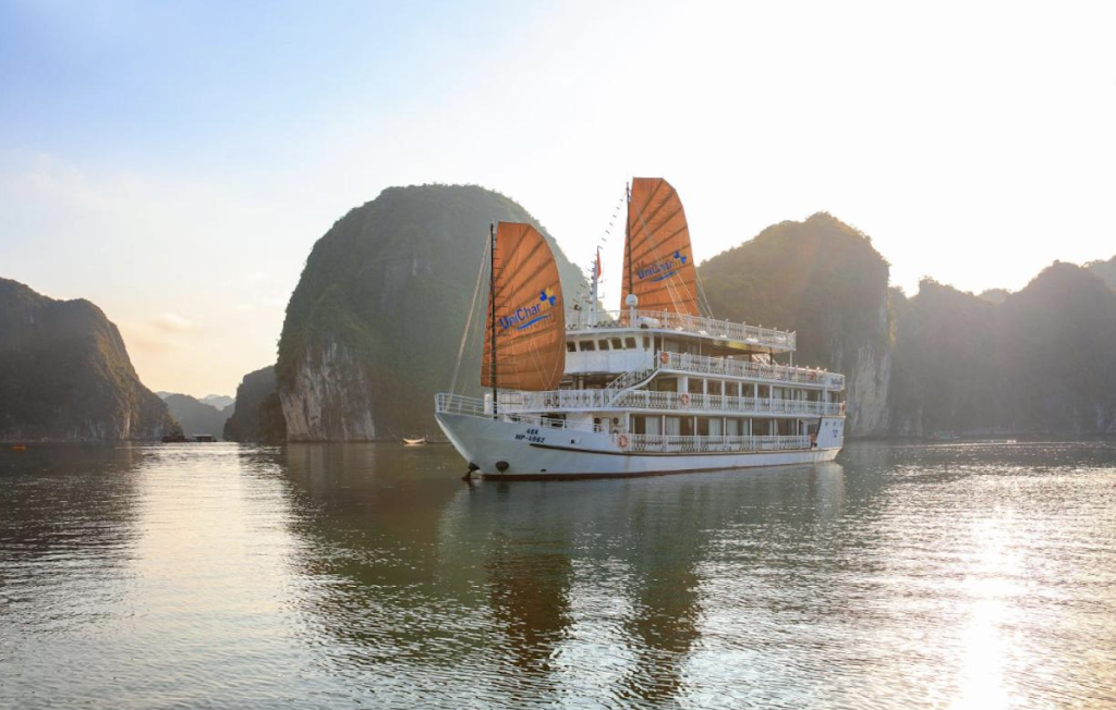 UniCharm Cruise