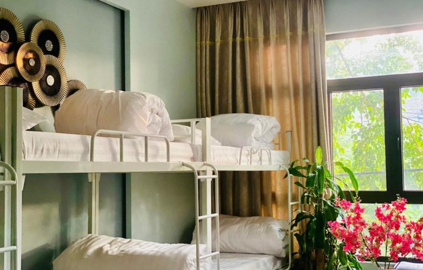 Mây homestay