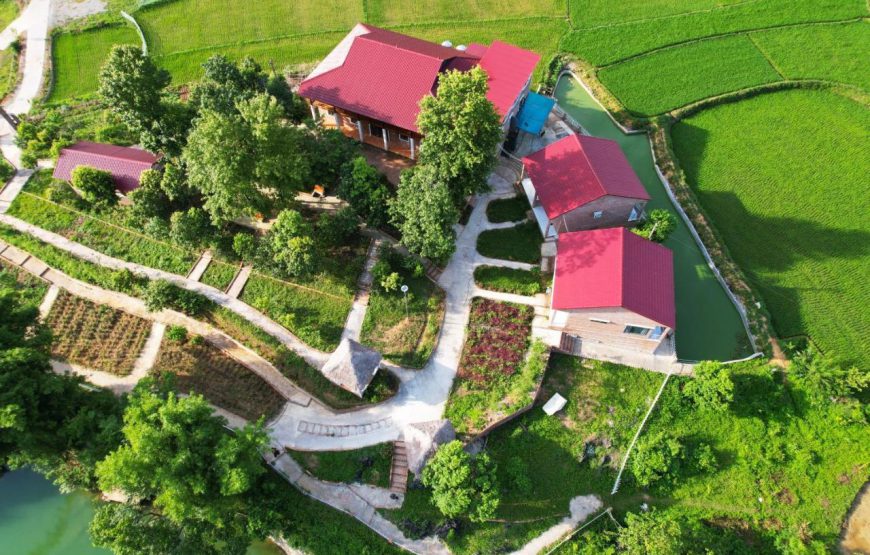Riverside Homestay (Thác Bản Giốc)