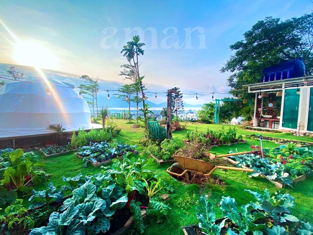 Amari Homestay – Tour Đảo Bình Hưng