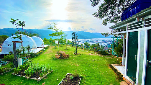 Amari Homestay – Tour Đảo Bình Hưng