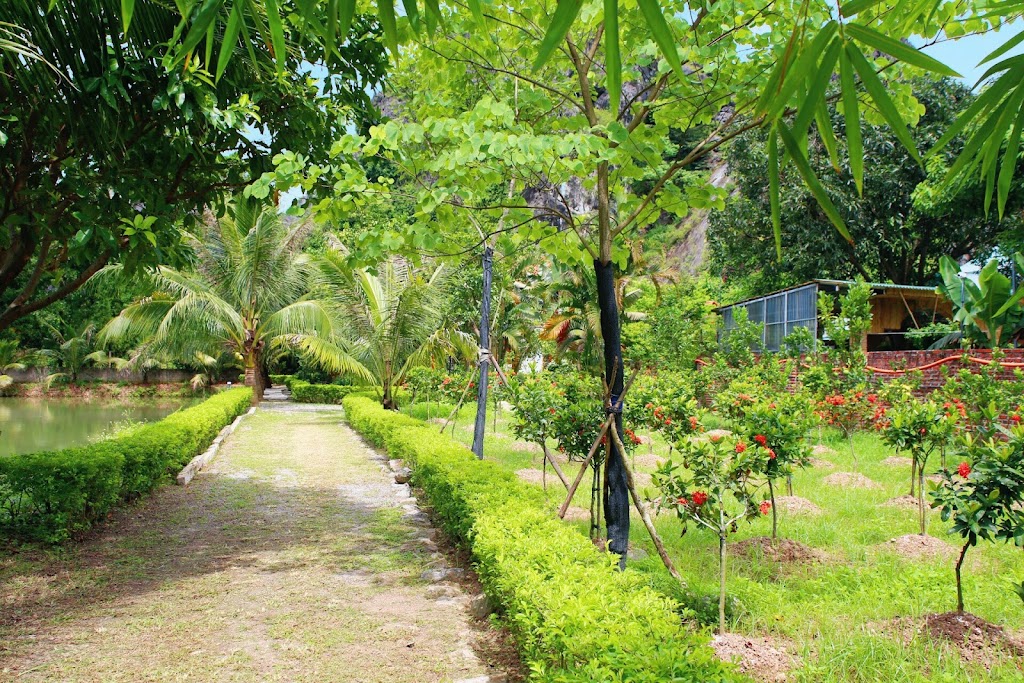 An’s Eco Mountain Homestay