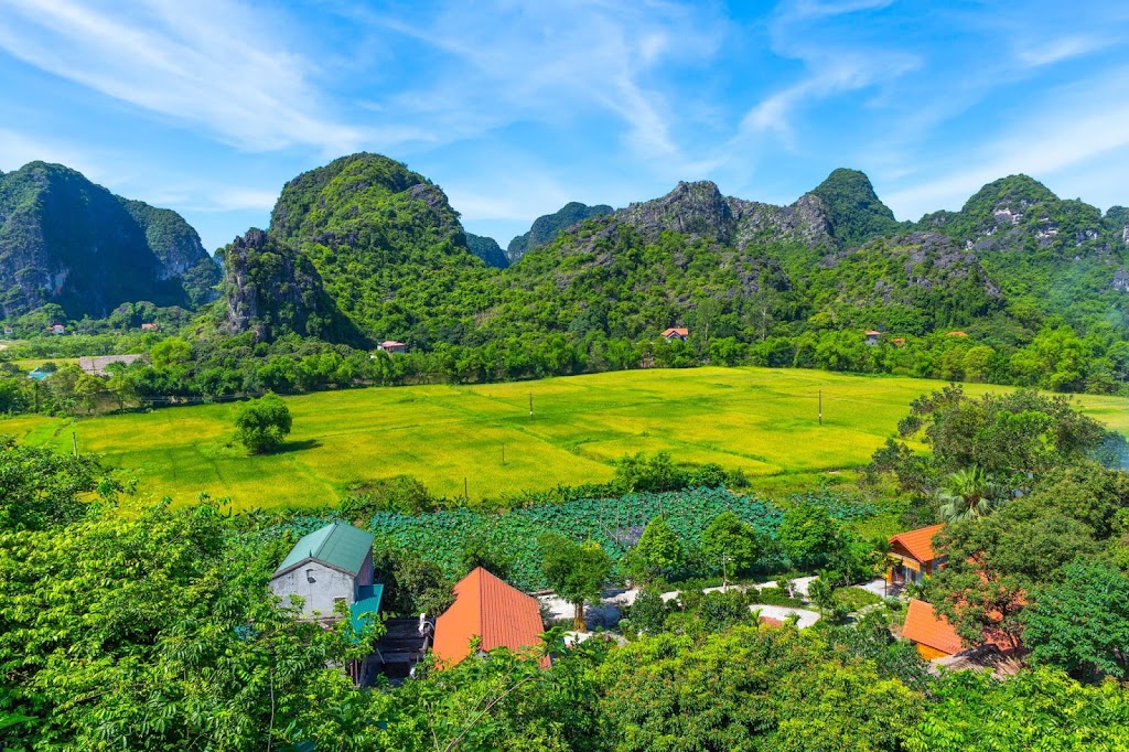 Aroma homestay & hostel