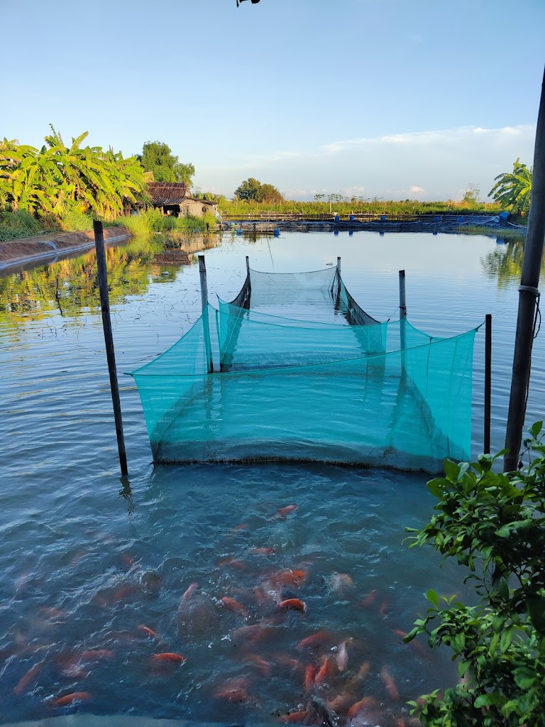 Bà Ngoại Homestay
