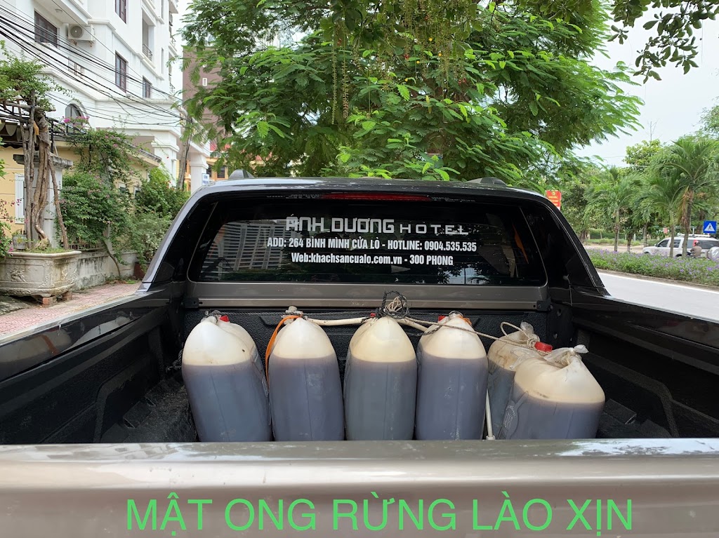 Bạch Tuyết