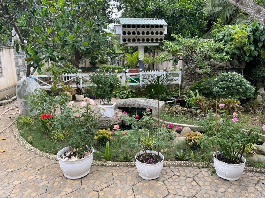 Bắp Rang Bơ Chill Homestay