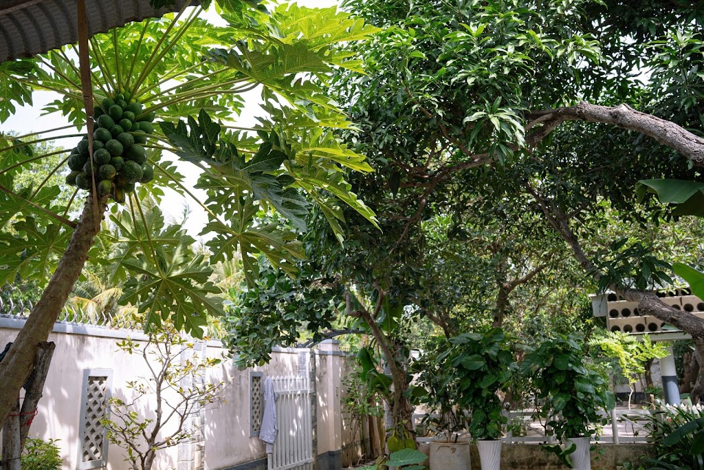 Bắp Rang Bơ Chill Homestay