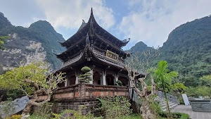Tre xanh Homestay