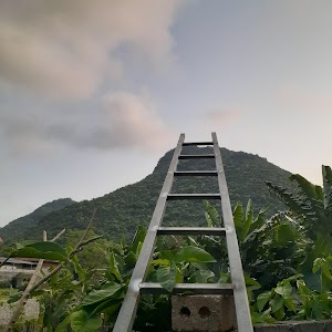 Cúc Phương Hotel