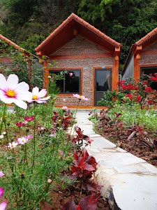 Serena riverside homestay - Tràng An