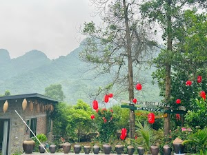Mother's home garden