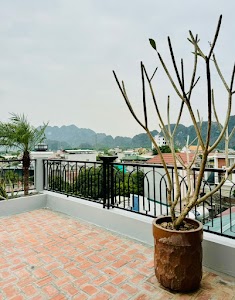 Nếp House