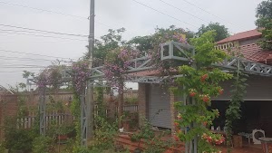 Duc Hung Guest House